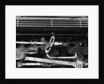 Drain Daily by Gordon Osmundson