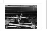 Drain Daily by Gordon Osmundson