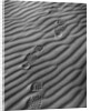 Boot Prints by Gordon Osmundson