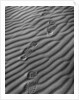 Boot Prints by Gordon Osmundson