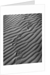 Boot Prints by Gordon Osmundson