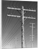 Poles and Wires by Gordon Osmundson