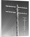 Poles and Wires by Gordon Osmundson
