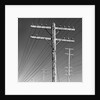 Poles and Wires by Gordon Osmundson