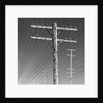 Poles and Wires by Gordon Osmundson