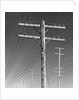 Poles and Wires by Gordon Osmundson
