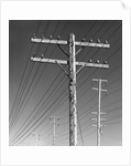 Poles and Wires by Gordon Osmundson