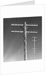 Poles and Wires by Gordon Osmundson