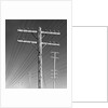 Poles and Wires by Gordon Osmundson