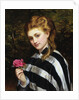 The Red Rose by Charles Sillen Lidderdale