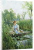 Waterlillies by Alfred Augustus Glendening II