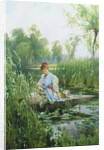 Waterlillies by Alfred Augustus Glendening II