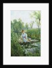 Waterlillies by Alfred Augustus Glendening II