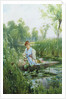 Waterlillies by Alfred Augustus Glendening II