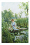 Waterlillies by Alfred Augustus Glendening II