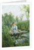Waterlillies by Alfred Augustus Glendening II