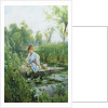 Waterlillies by Alfred Augustus Glendening II