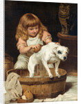 The Order of the Bath by Charles Burton Barber