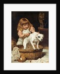The Order of the Bath by Charles Burton Barber
