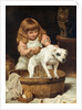 The Order of the Bath by Charles Burton Barber