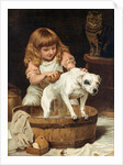 The Order of the Bath by Charles Burton Barber