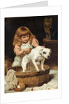 The Order of the Bath by Charles Burton Barber
