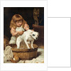 The Order of the Bath by Charles Burton Barber