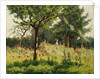 The Poppy Field by Alphonse Asselbergs