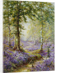 The Bluebell Wood by Alfred de Breanski