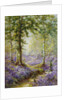 The Bluebell Wood by Alfred de Breanski