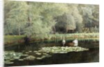 The Lily Pond by Edward R. Taylor
