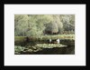 The Lily Pond by Edward R. Taylor