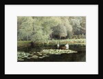 The Lily Pond by Edward R. Taylor