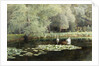 The Lily Pond by Edward R. Taylor