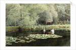 The Lily Pond by Edward R. Taylor
