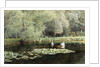 The Lily Pond by Edward R. Taylor