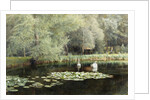 The Lily Pond by Edward R. Taylor