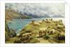 Sheep Reposing, Dalby Bay, Isle of Man by Basil Bradley