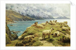 Sheep Reposing, Dalby Bay, Isle of Man by Basil Bradley