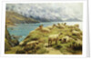 Sheep Reposing, Dalby Bay, Isle of Man by Basil Bradley