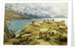 Sheep Reposing, Dalby Bay, Isle of Man by Basil Bradley