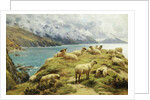 Sheep Reposing, Dalby Bay, Isle of Man by Basil Bradley