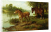 A Mare and Her Foal by Basil Bradley