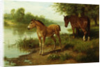 A Mare and Her Foal by Basil Bradley