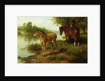 A Mare and Her Foal by Basil Bradley