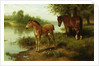 A Mare and Her Foal by Basil Bradley