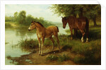 A Mare and Her Foal by Basil Bradley