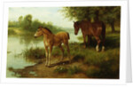 A Mare and Her Foal by Basil Bradley