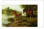 A Mare and Her Foal by Basil Bradley