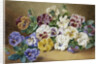 Pansies by Thomas Frederick Collier